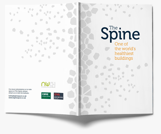 the-spine-brochure