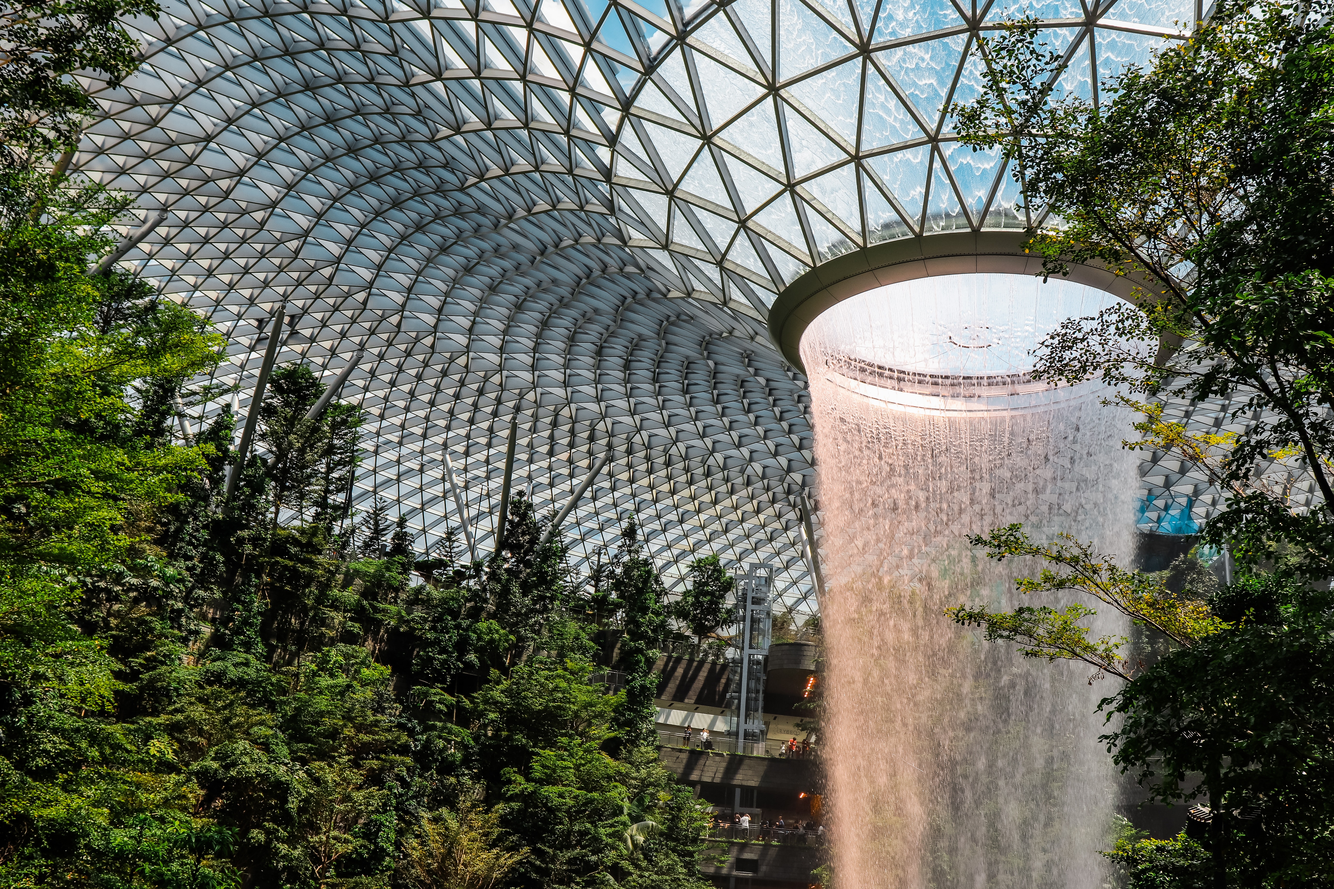 green-leafed-plants-inside-greenhouse-2426546
