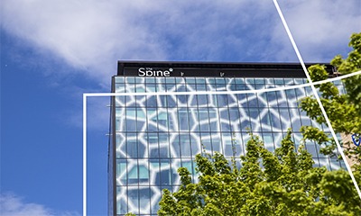 THE SPINE